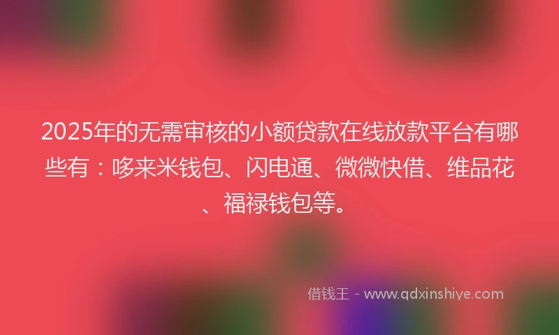 2025年的无需审核的小额贷款在线放款平台有哪些有：哆来米钱包、闪电通、微微快借、维品花、福禄钱包等。