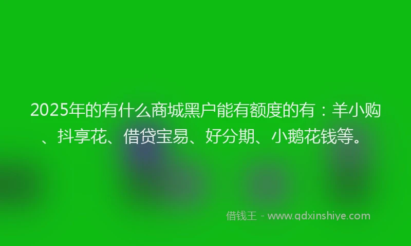 2025年的有什么商城黑户能有额度的有：羊小购、抖享花、借贷宝易、好分期、小鹅花钱等。
