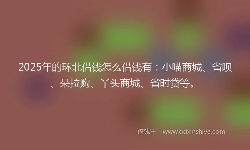 2025年的环北借钱怎么借钱有：小喵商城、省呗、朵拉购、丫头商城、省时贷等。