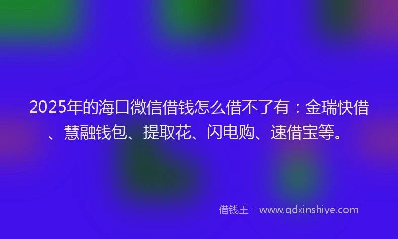 2025年的海口微信借钱怎么借不了有：金瑞快借、慧融钱包、提取花、闪电购、速借宝等。