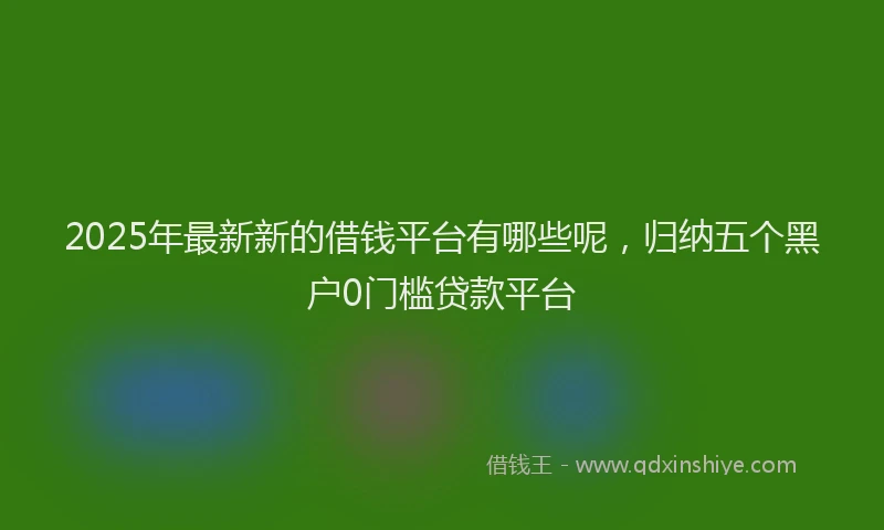2025年最新新的借钱平台有哪些呢，归纳五个黑户0门槛贷款平台