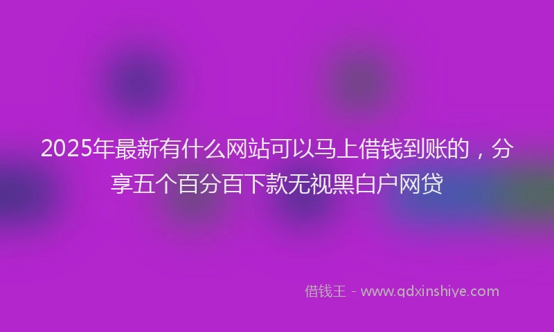 2025年最新有什么网站可以马上借钱到账的，分享五个百分百下款无视黑白户网贷