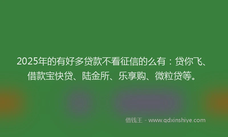 2025年的有好多贷款不看征信的么有：贷你飞、借款宝快贷、陆金所、乐享购、微粒贷等。