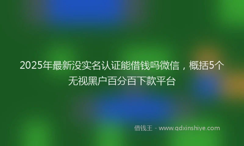 2025年最新没实名认证能借钱吗微信，概括5个无视黑户百分百下款平台