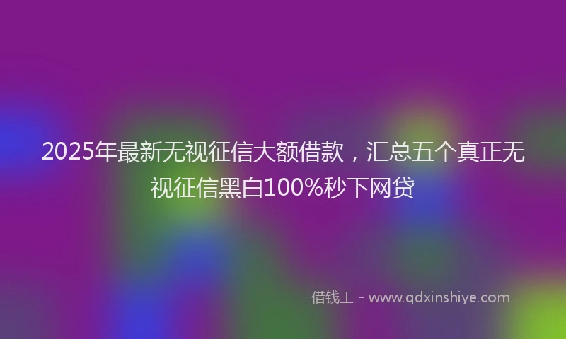 2025年最新无视征信大额借款，汇总五个真正无视征信黑白100%秒下网贷
