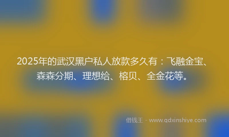 2025年的武汉黑户私人放款多久有：飞融金宝、森森分期、理想给、榕贝、全金花等。
