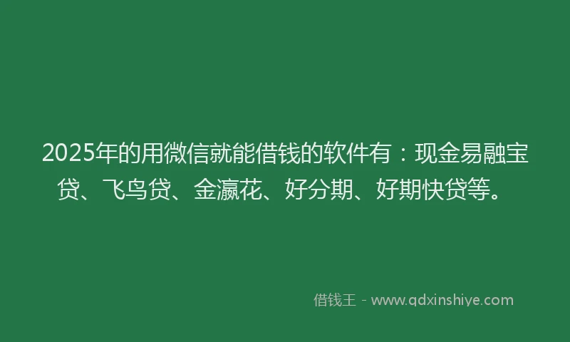 2025年的用微信就能借钱的软件有：现金易融宝贷、飞鸟贷、金瀛花、好分期、好期快贷等。