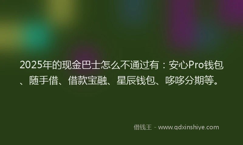 2025年的现金巴士怎么不通过有：安心Pro钱包、随手借、借款宝融、星辰钱包、哆哆分期等。