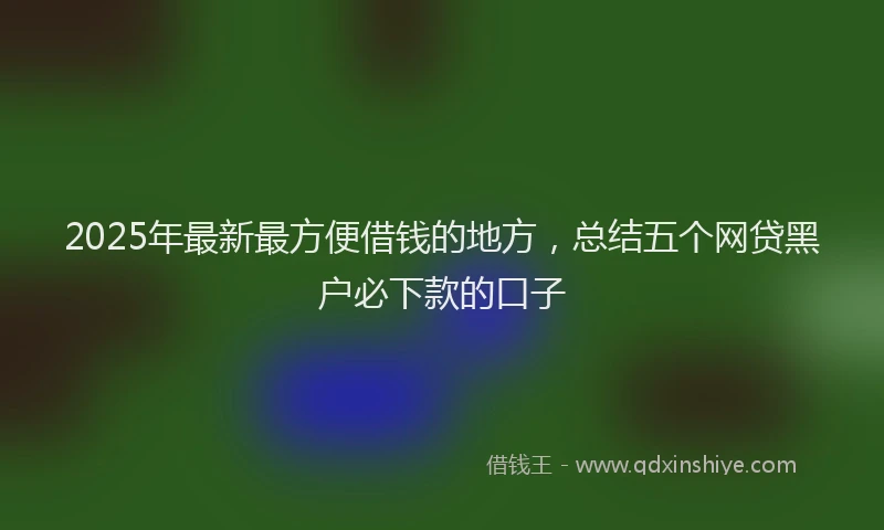 2025年最新最方便借钱的地方，总结五个网贷黑户必下款的口子