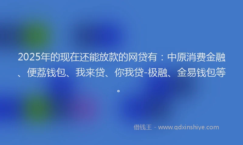 2025年的现在还能放款的网贷有：中原消费金融、便荔钱包、我来贷、你我贷-极融、金易钱包等。