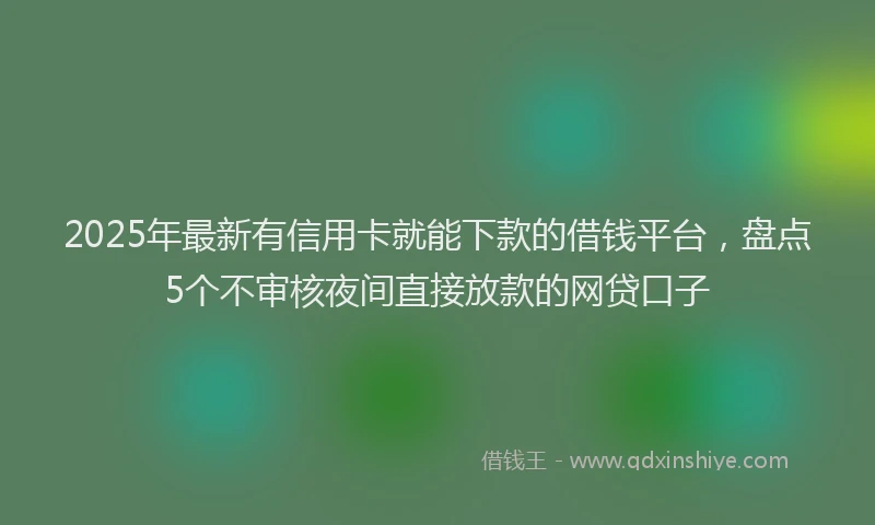 2025年最新有信用卡就能下款的借钱平台，盘点5个不审核夜间直接放款的网贷口子