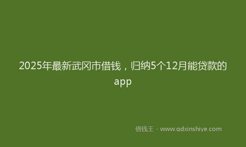 2025年最新武冈市借钱，归纳5个12月能贷款的app