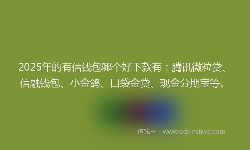 2025年的有信钱包哪个好下款有：腾讯微粒贷、信融钱包、小金鸽、口袋金贷、现金分期宝等。