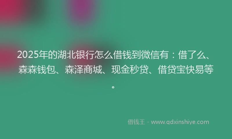 2025年的湖北银行怎么借钱到微信有：借了么、森森钱包、森泽商城、现金秒贷、借贷宝快易等。