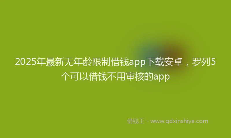 2025年最新无年龄限制借钱app下载安卓，罗列5个可以借钱不用审核的app