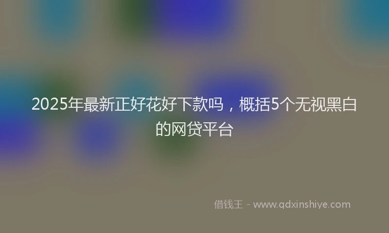 2025年最新正好花好下款吗，概括5个无视黑白的网贷平台