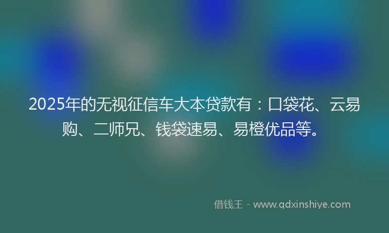2025年的无视征信车大本贷款有：口袋花、云易购、二师兄、钱袋速易、易橙优品等。