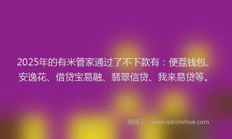 2025年的有米管家通过了不下款有：便荔钱包、安逸花、借贷宝易融、翡翠信贷、我来易贷等。