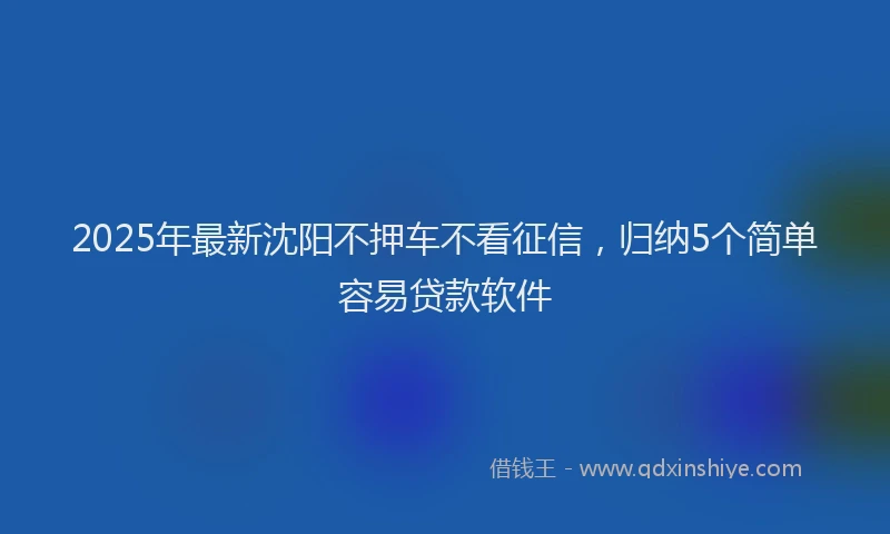 2025年最新沈阳不押车不看征信，归纳5个简单容易贷款软件