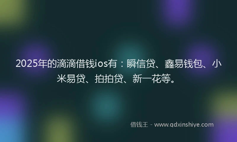 2025年的滴滴借钱ios有：瞬信贷、鑫易钱包、小米易贷、拍拍贷、新一花等。