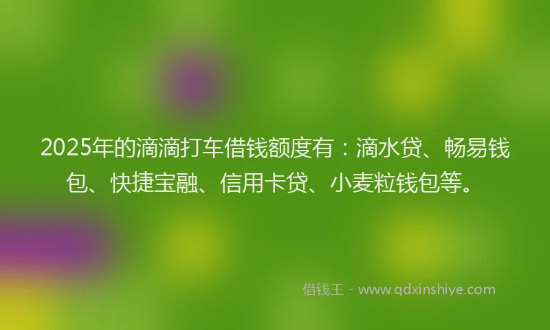 2025年的滴滴打车借钱额度有：滴水贷、畅易钱包、快捷宝融、信用卡贷、小麦粒钱包等。