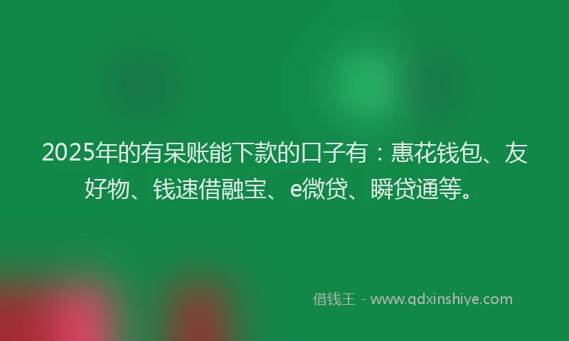 2025年的有呆账能下款的口子有：惠花钱包、友好物、钱速借融宝、e微贷、瞬贷通等。