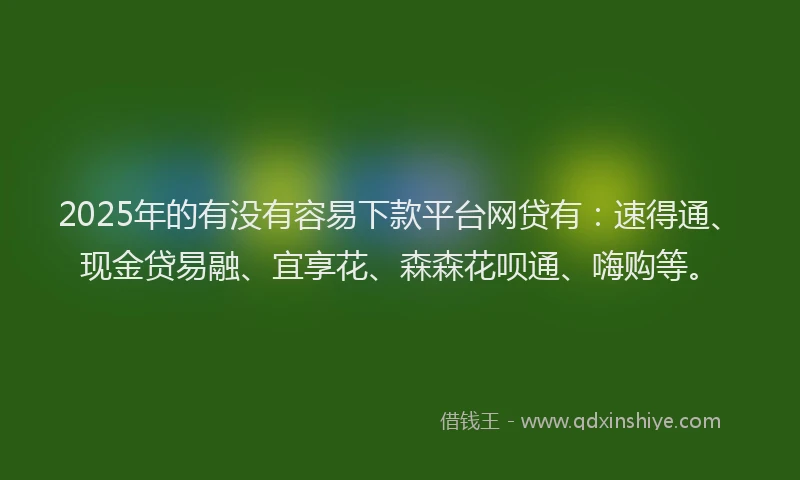 2025年的有没有容易下款平台网贷有：速得通、现金贷易融、宜享花、森森花呗通、嗨购等。