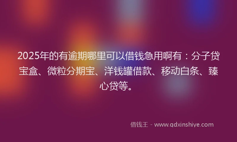 2025年的有逾期哪里可以借钱急用啊有：分子贷宝盒、微粒分期宝、洋钱罐借款、移动白条、臻心贷等。