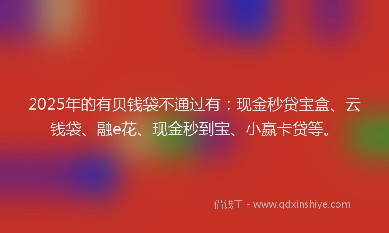 2025年的有贝钱袋不通过有：现金秒贷宝盒、云钱袋、融e花、现金秒到宝、小赢卡贷等。