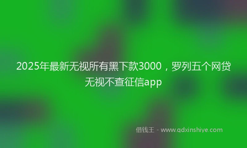 2025年最新无视所有黑下款3000，罗列五个网贷无视不查征信app
