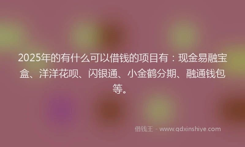 2025年的有什么可以借钱的项目有：现金易融宝盒、洋洋花呗、闪银通、小金鹤分期、融通钱包等。