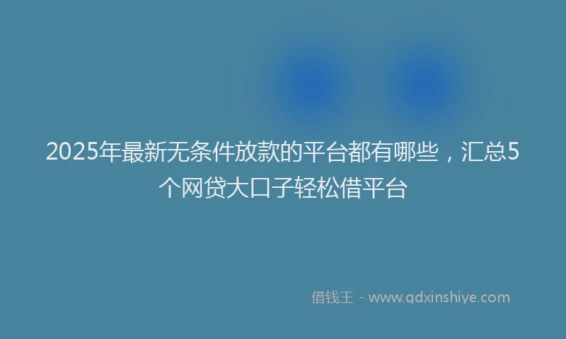 2025年最新无条件放款的平台都有哪些，汇总5个网贷大口子轻松借平台
