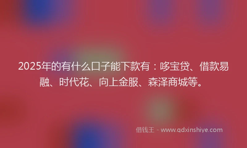 2025年的有什么口子能下款有：哆宝贷、借款易融、时代花、向上金服、森泽商城等。