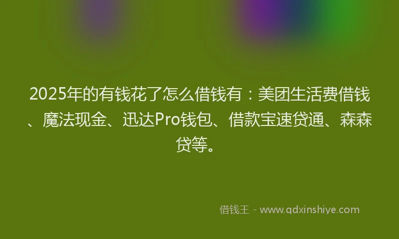 2025年的有钱花了怎么借钱有：美团生活费借钱、魔法现金、迅达Pro钱包、借款宝速贷通、森森贷等。
