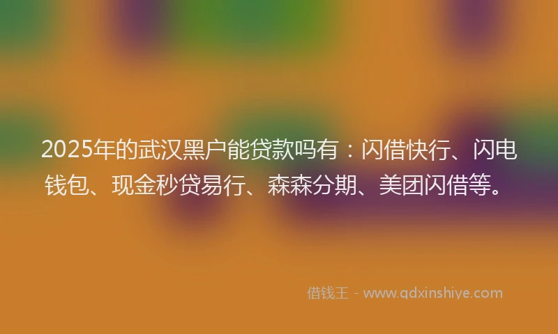 2025年的武汉黑户能贷款吗有：闪借快行、闪电钱包、现金秒贷易行、森森分期、美团闪借等。