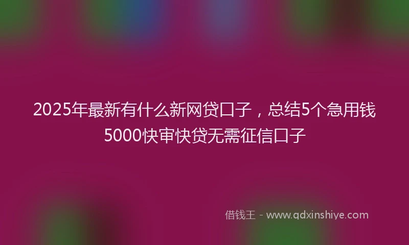 2025年最新有什么新网贷口子，总结5个急用钱5000快审快贷无需征信口子