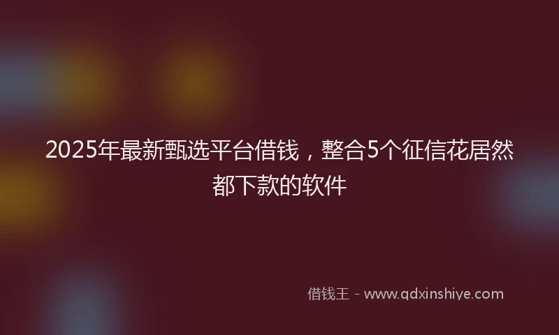 2025年最新甄选平台借钱，整合5个征信花居然都下款的软件