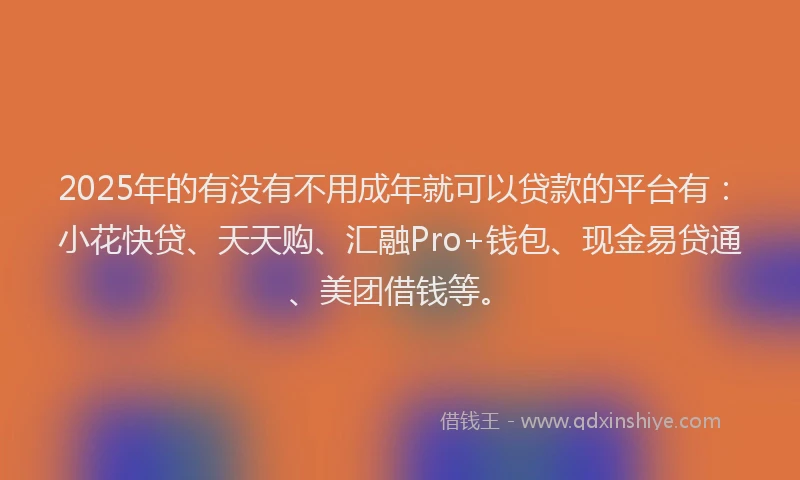 2025年的有没有不用成年就可以贷款的平台有：小花快贷、天天购、汇融Pro+钱包、现金易贷通、美团借钱等。