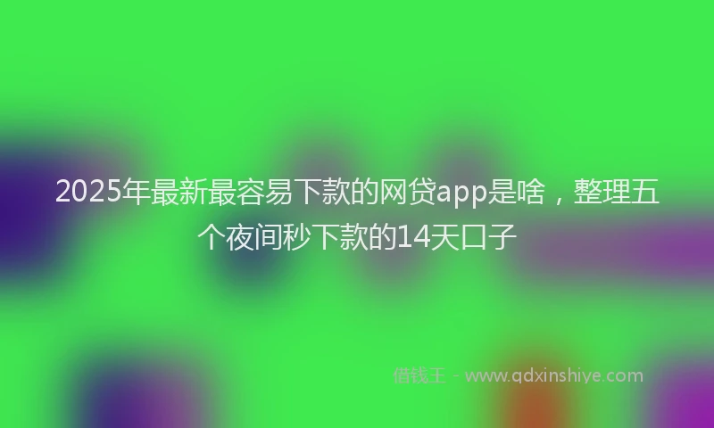 2025年最新最容易下款的网贷app是啥，整理五个夜间秒下款的14天口子
