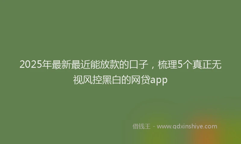 2025年最新最近能放款的口子，梳理5个真正无视风控黑白的网贷app