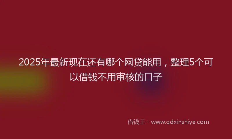 2025年最新现在还有哪个网贷能用，整理5个可以借钱不用审核的口子