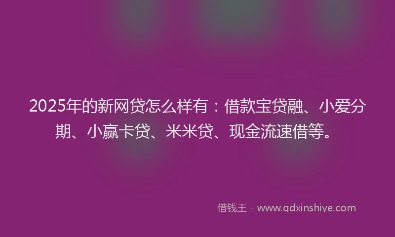 2025年的新网贷怎么样有：借款宝贷融、小爱分期、小赢卡贷、米米贷、现金流速借等。