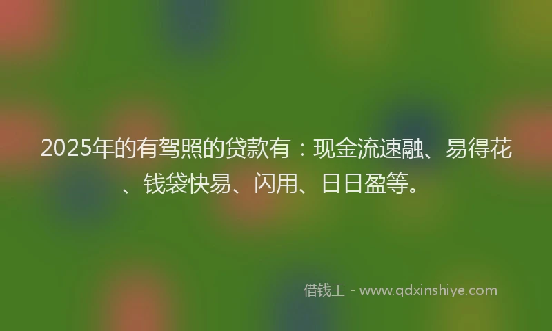 2025年的有驾照的贷款有：现金流速融、易得花、钱袋快易、闪用、日日盈等。