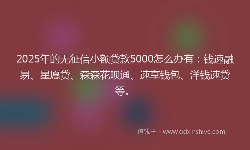 2025年的无征信小额贷款5000怎么办有：钱速融易、星愿贷、森森花呗通、速享钱包、洋钱速贷等。