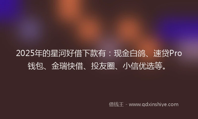 2025年的星河好借下款有：现金白鸽、速贷Pro钱包、金瑞快借、投友圈、小信优选等。