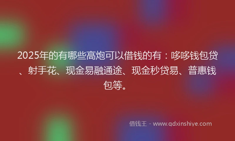 2025年的有哪些高炮可以借钱的有：哆哆钱包贷、射手花、现金易融通途、现金秒贷易、普惠钱包等。