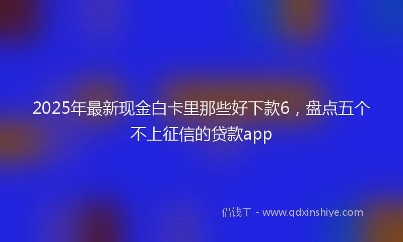 2025年最新现金白卡里那些好下款6，盘点五个不上征信的贷款app