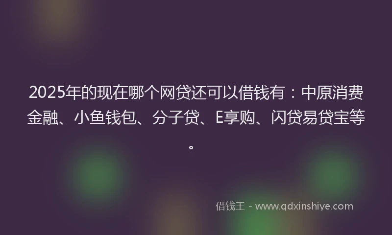 2025年的现在哪个网贷还可以借钱有：中原消费金融、小鱼钱包、分子贷、E享购、闪贷易贷宝等。