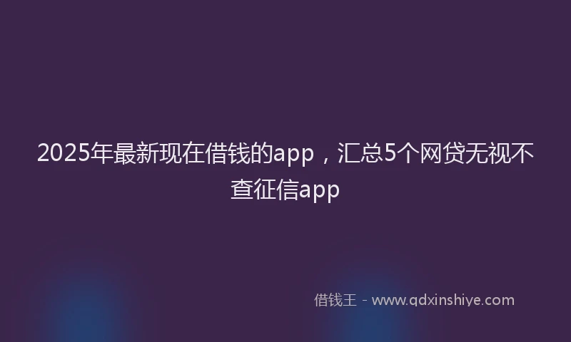 2025年最新现在借钱的app，汇总5个网贷无视不查征信app