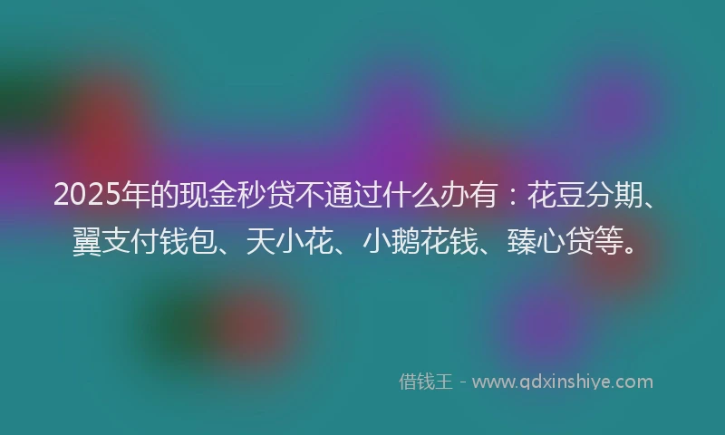 2025年的现金秒贷不通过什么办有：花豆分期、翼支付钱包、天小花、小鹅花钱、臻心贷等。